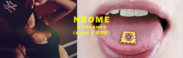 стафф Грязовец