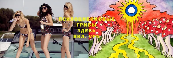 ГАЛЛЮЦИНОГЕННЫЕ ГРИБЫ Россошь