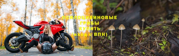 мдпв Пролетарск