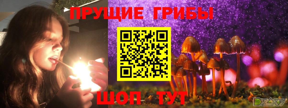 Псилоцибиновые грибы MAGIC MUSHROOMS Фрязино