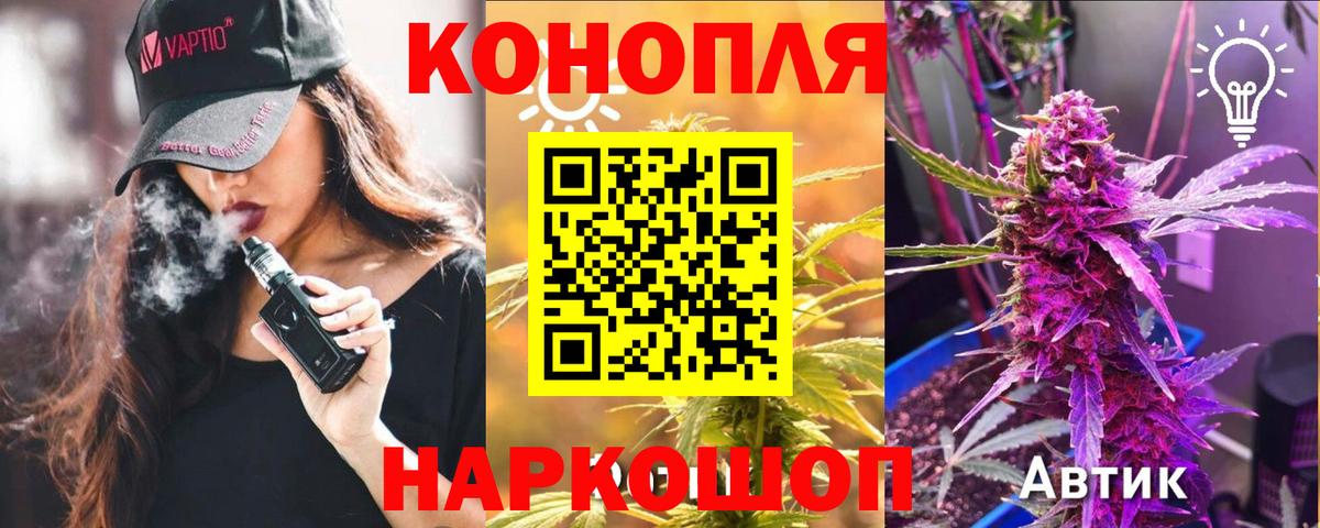 Бошки Шишки VHQ Фрязино